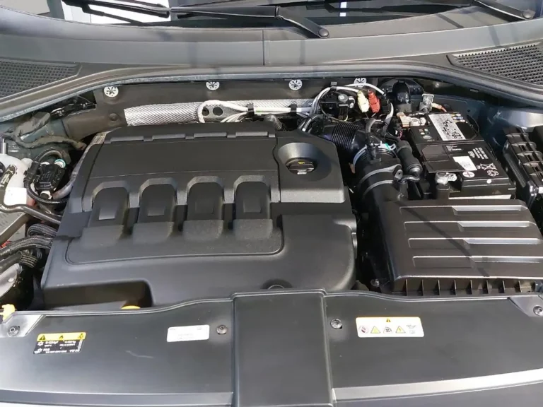 217c57be-dac9-4234-8680-e2b26b497c0d_a2ddfe36-198d-4ac3-98b3-c629d2f6cba5