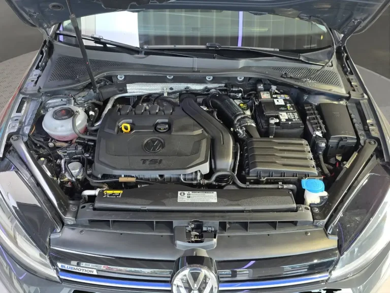 Volkswagen Golf Variant 25