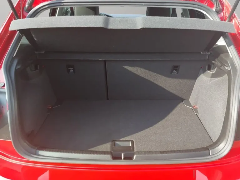 Volkswagen Polo 22
